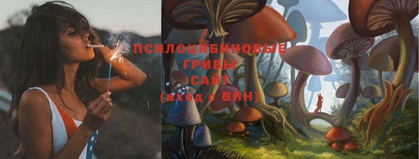 амф Алзамай