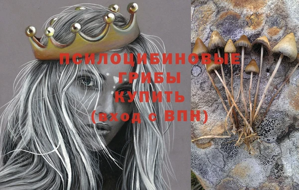 крисы Алексеевка
