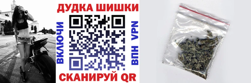 Конопля гибрид  Канаш 